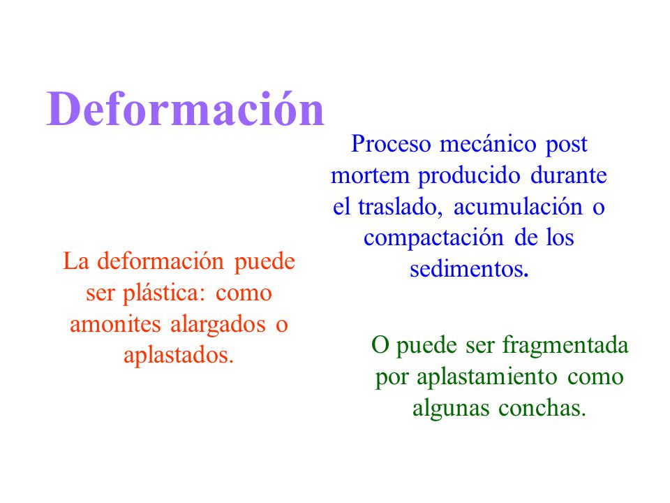 O puede ser fragmentada por aplastamiento como algunas conchas.