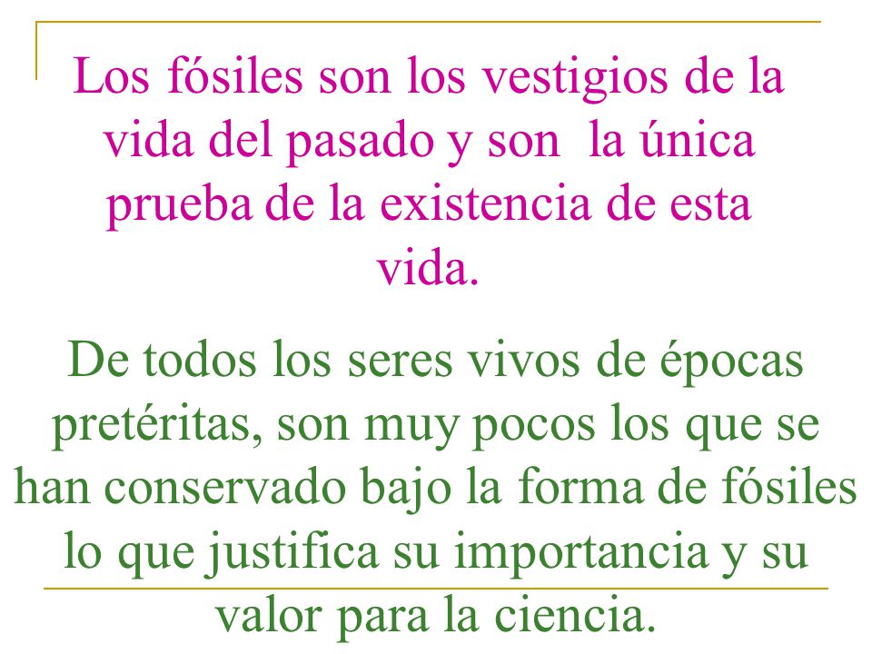 Los fósiles son los vestigios de la vida del pasado y son la única prueba de la existencia de esta vida.