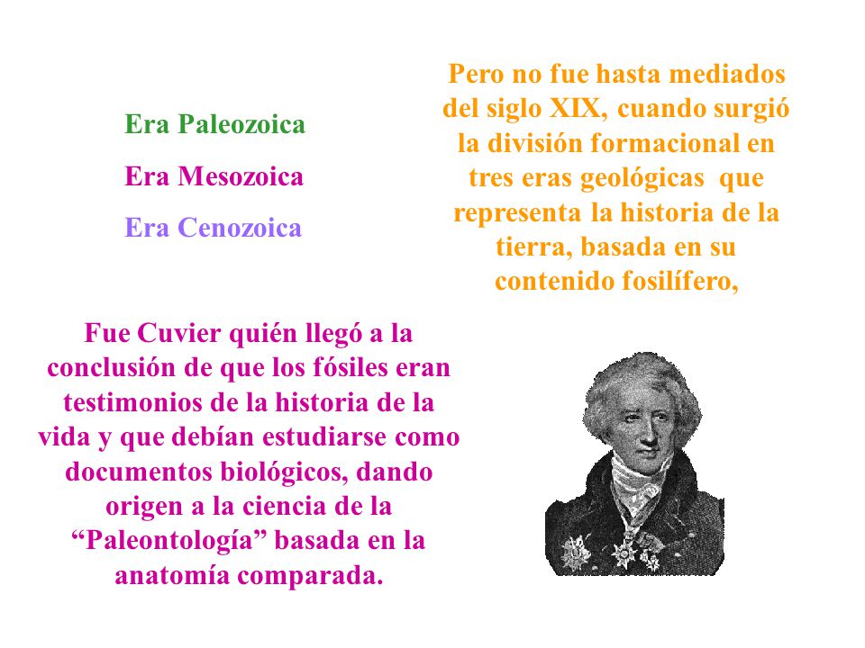 Pero no fue hasta mediados del siglo XIX, cuando surgió la división formacional en tres eras geológicas que representa la historia de la tierra, basada en su contenido fosilífero,