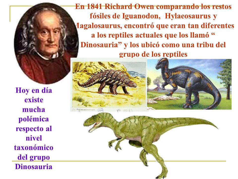 En 1841 Richard Owen comparando los restos fósiles de Iguanodon, Hylaeosaurus y Magalosaurus, encontró que eran tan diferentes a los reptiles actuales que los llamó Dinosauria y los ubicó como una tribu del grupo de los reptiles