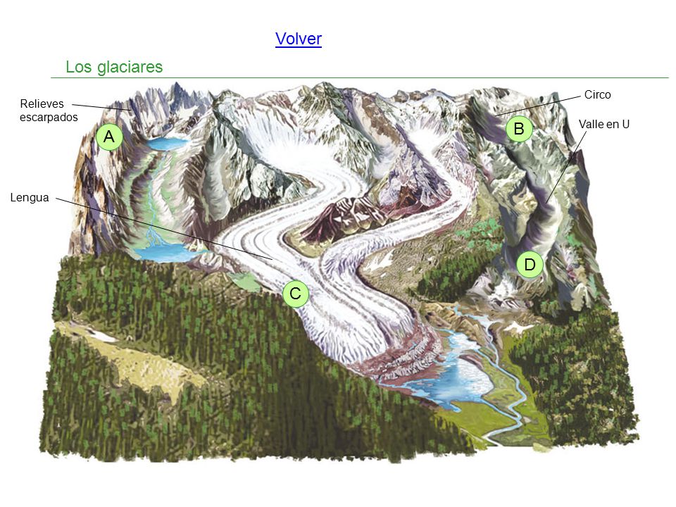 Volver Los glaciares B A D C Circo Relieves escarpados Valle en U