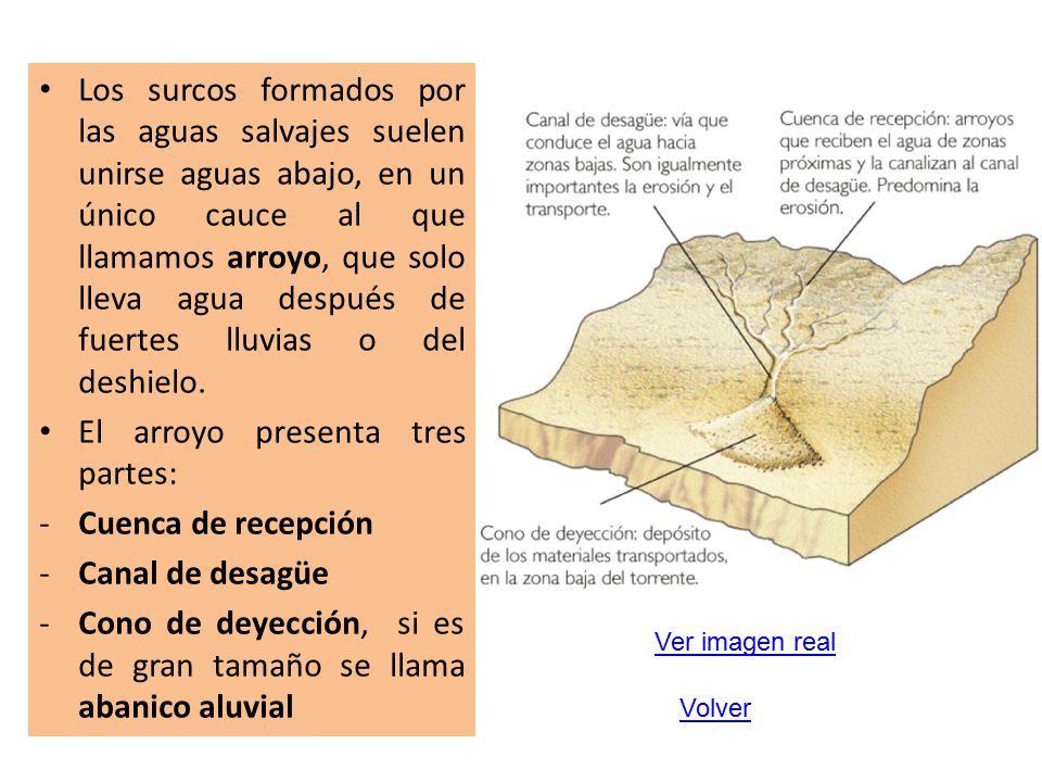 El arroyo presenta tres partes: Cuenca de recepción Canal de desagüe