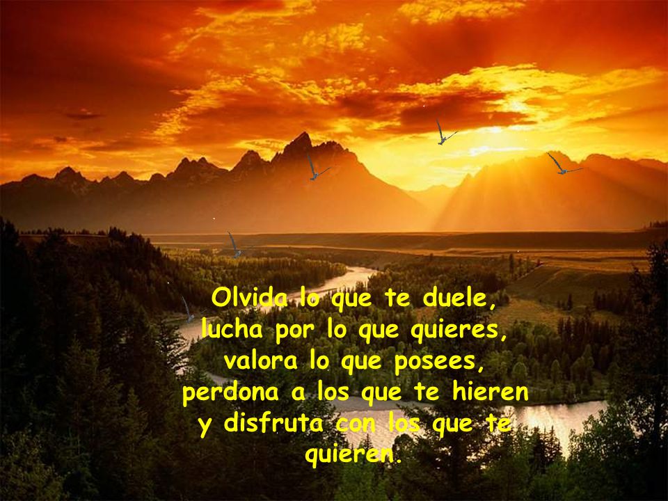 Olvida lo que te duele, lucha por lo que quieres, valora lo que posees, perdona a los que te hieren y disfruta con los que te quieren.