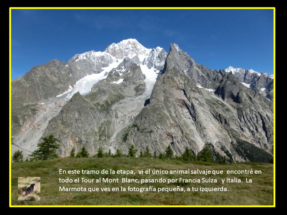 En este tramo de la etapa, vi el único animal salvaje que encontré en todo el Tour al Mont Blanc, pasando por Francia Suiza y Italia.