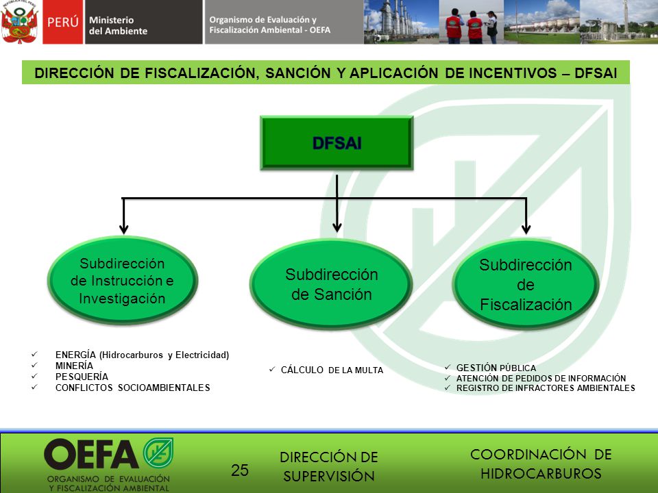 DIRECCIÓN DE FISCALIZACIÓN, SANCIÓN Y APLICACIÓN DE INCENTIVOS – DFSAI