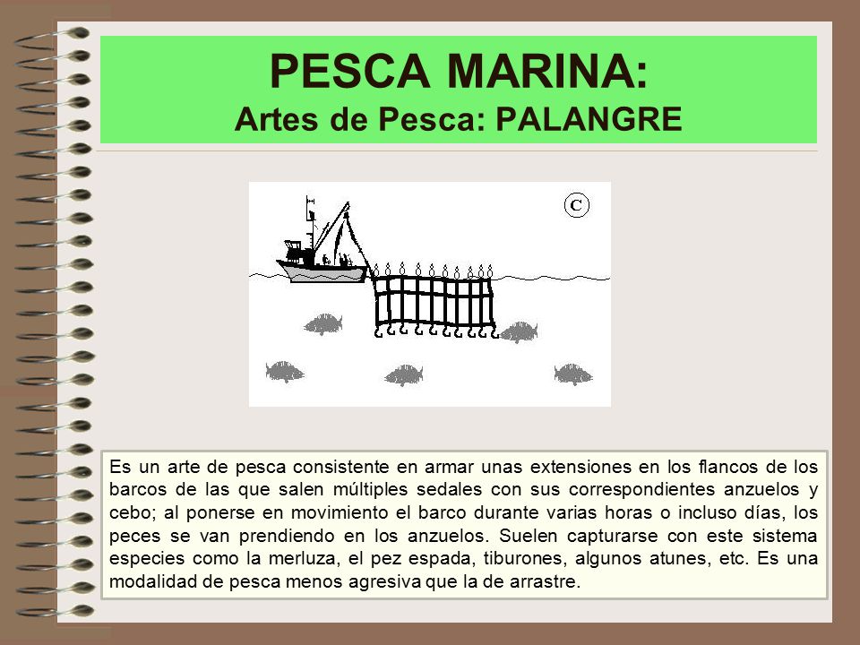 PESCA MARINA: Artes de Pesca: PALANGRE