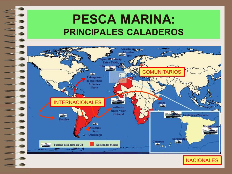 PESCA MARINA: PRINCIPALES CALADEROS