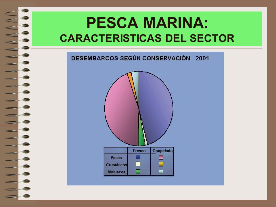 PESCA MARINA: CARACTERISTICAS DEL SECTOR