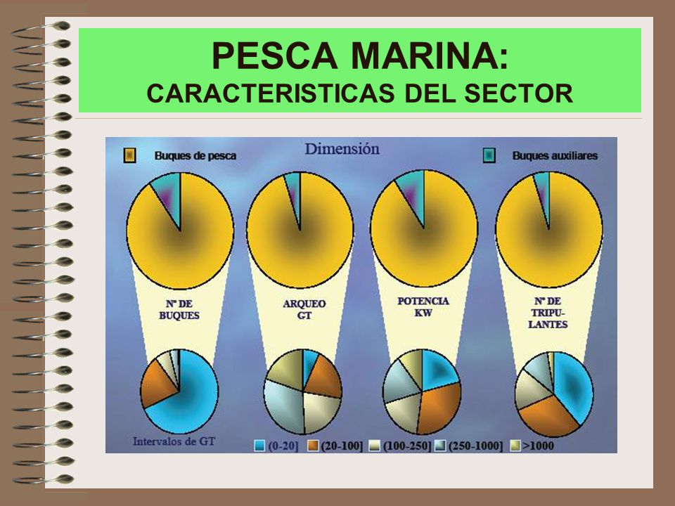 PESCA MARINA: CARACTERISTICAS DEL SECTOR