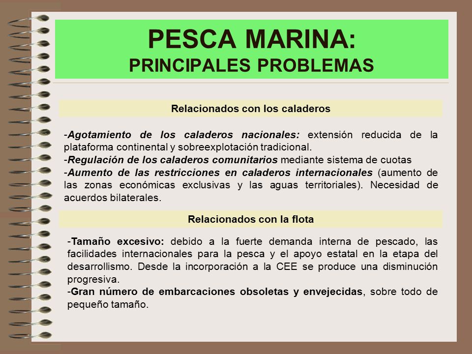 PESCA MARINA: PRINCIPALES PROBLEMAS
