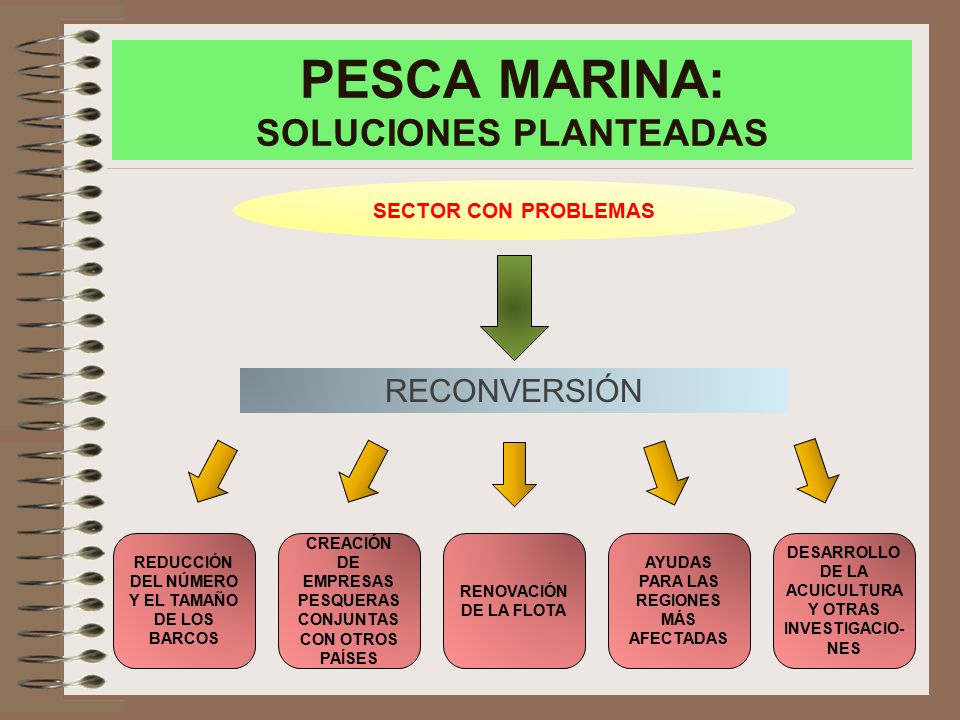 PESCA MARINA: SOLUCIONES PLANTEADAS