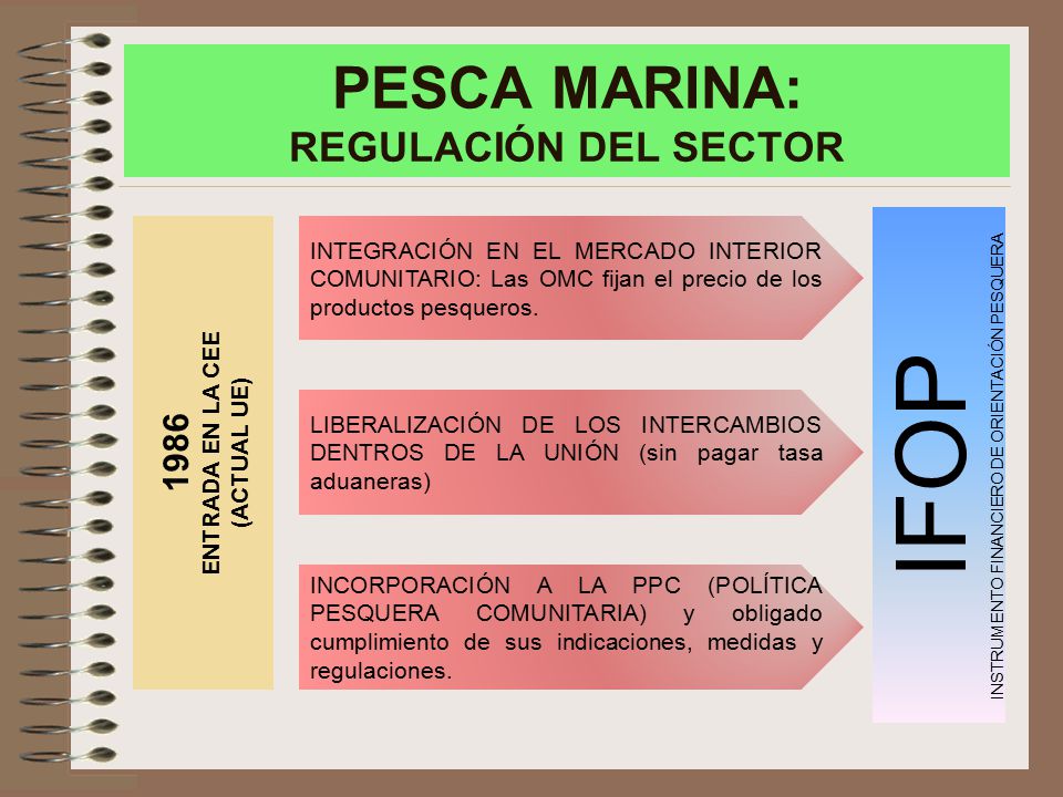 PESCA MARINA: REGULACIÓN DEL SECTOR