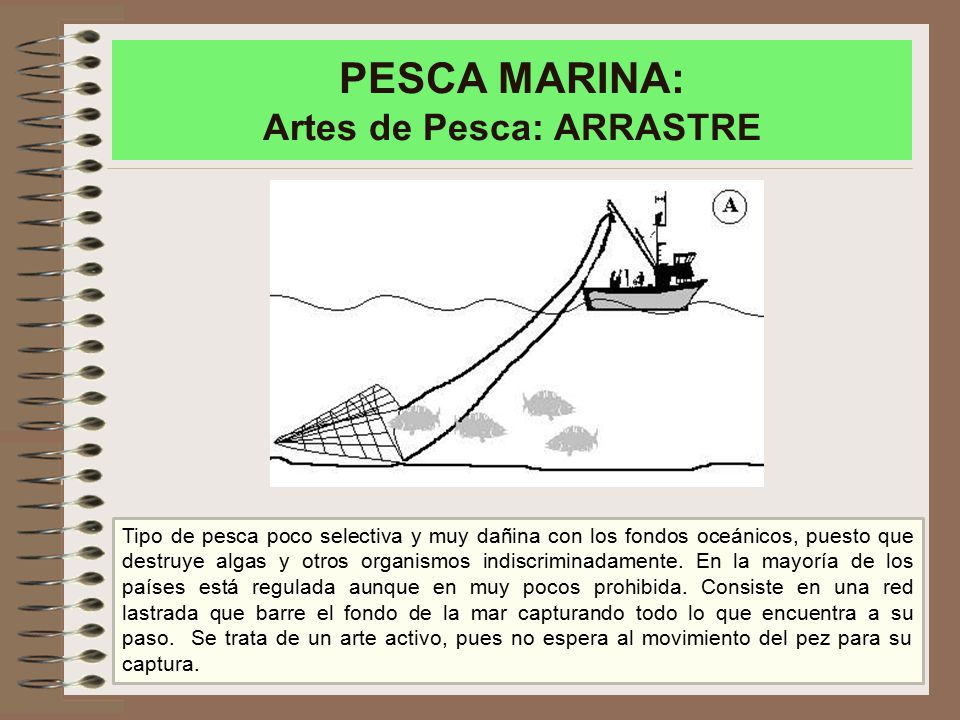PESCA MARINA: Artes de Pesca: ARRASTRE