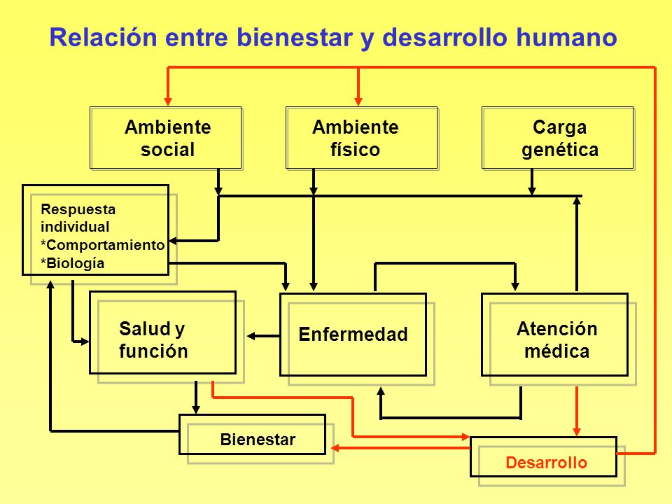 Relación entre bienestar y desarrollo humano