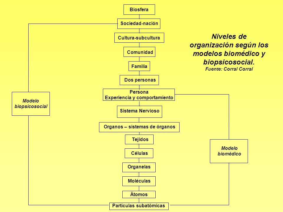Biosfera Sociedad-nación. Niveles de organización según los modelos biomédico y biopsicosocial. Fuente: Corral Corral.