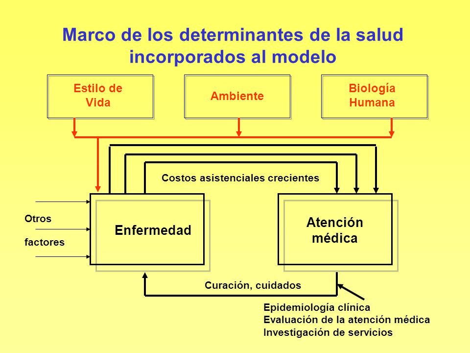 Marco de los determinantes de la salud incorporados al modelo