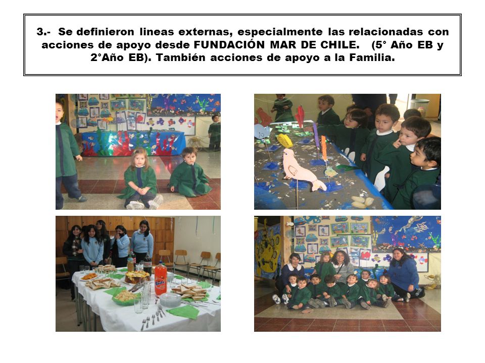 3.- Se definieron lineas externas, especialmente las relacionadas con acciones de apoyo desde FUNDACIÓN MAR DE CHILE.