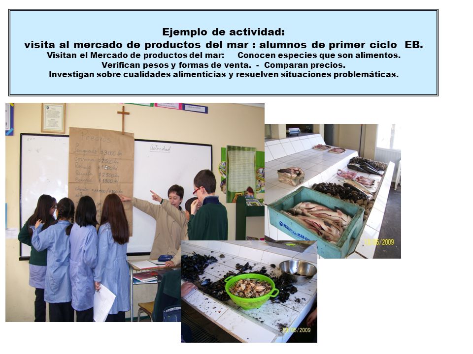 Ejemplo de actividad: visita al mercado de productos del mar : alumnos de primer ciclo EB.
