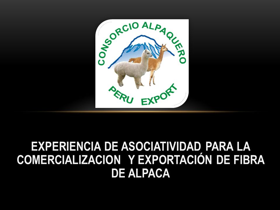 EXPERIENCIA DE ASOCIATIVIDAD PARA LA COMERCIALIZACION Y EXPORTACIÓN DE FIBRA DE ALPACA