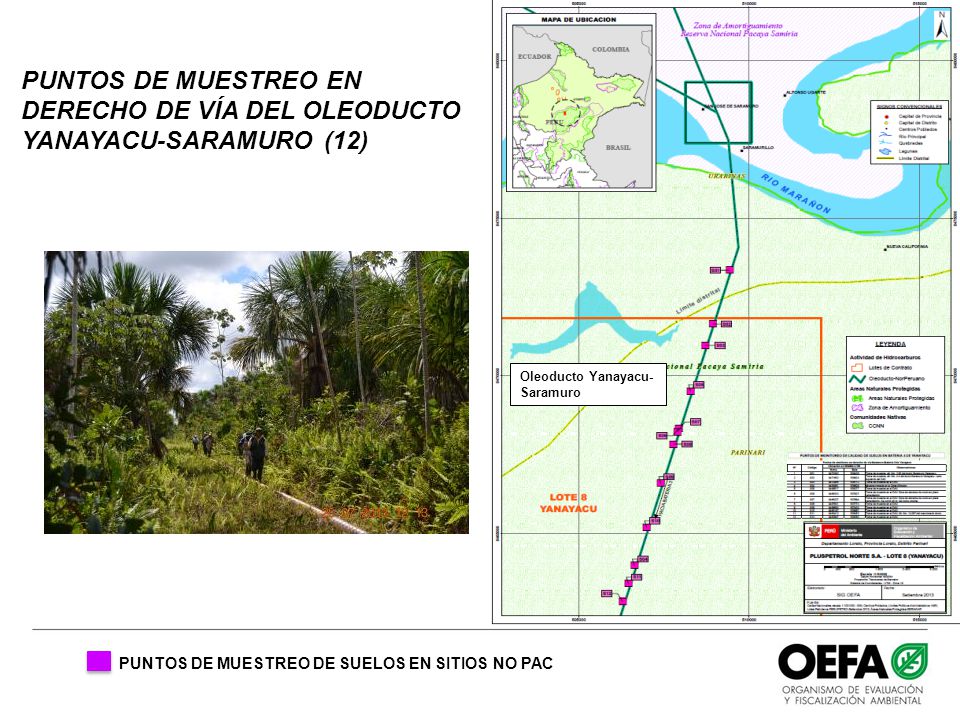 PUNTOS DE MUESTREO EN DERECHO DE VÍA DEL OLEODUCTO YANAYACU-SARAMURO (12)