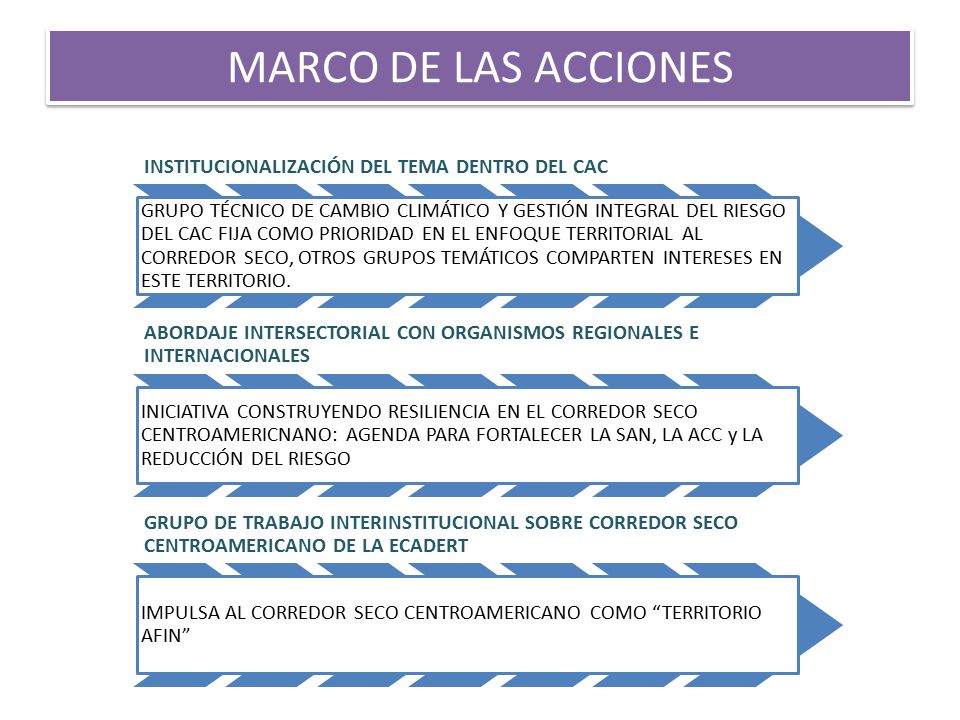 MARCO DE LAS ACCIONES INSTITUCIONALIZACIÓN DEL TEMA DENTRO DEL CAC