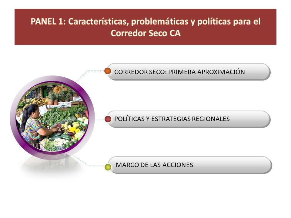 PANEL 1: Características, problemáticas y políticas para el Corredor Seco CA