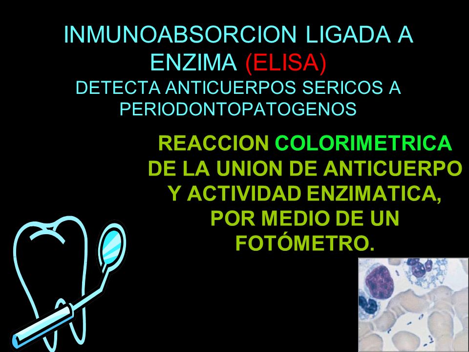 INMUNOABSORCION LIGADA A ENZIMA (ELISA) DETECTA ANTICUERPOS SERICOS A PERIODONTOPATOGENOS