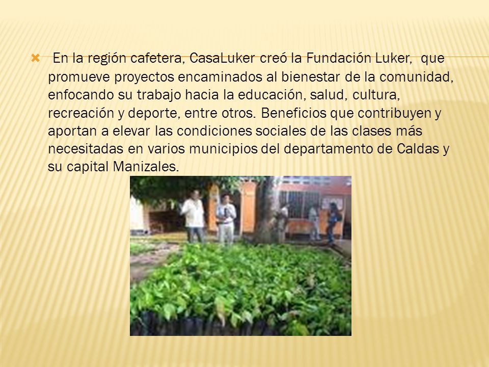 En la región cafetera, CasaLuker creó la Fundación Luker, que promueve proyectos encaminados al bienestar de la comunidad, enfocando su trabajo hacia la educación, salud, cultura, recreación y deporte, entre otros.