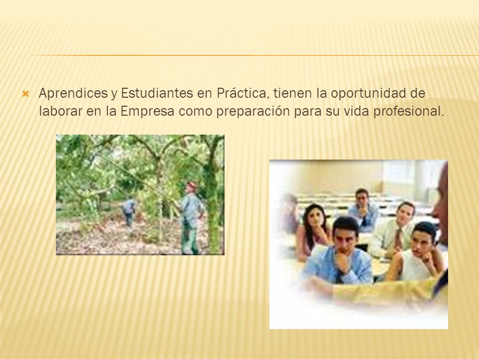 Aprendices y Estudiantes en Práctica, tienen la oportunidad de laborar en la Empresa como preparación para su vida profesional.