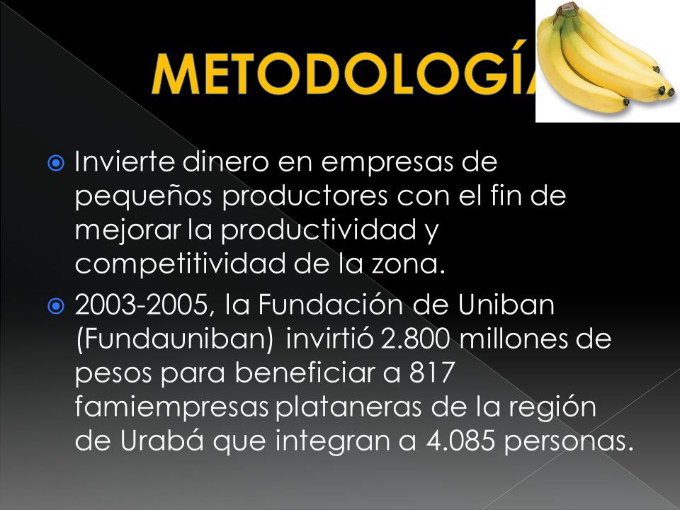 METODOLOGÍA Invierte dinero en empresas de pequeños productores con el fin de mejorar la productividad y competitividad de la zona.