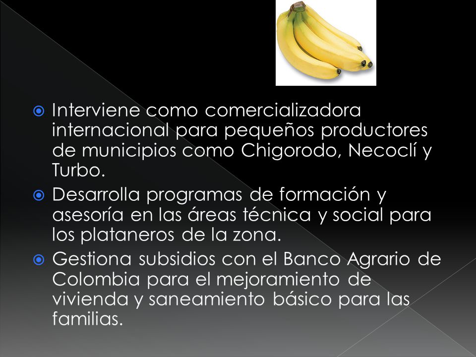 Interviene como comercializadora internacional para pequeños productores de municipios como Chigorodo, Necoclí y Turbo.