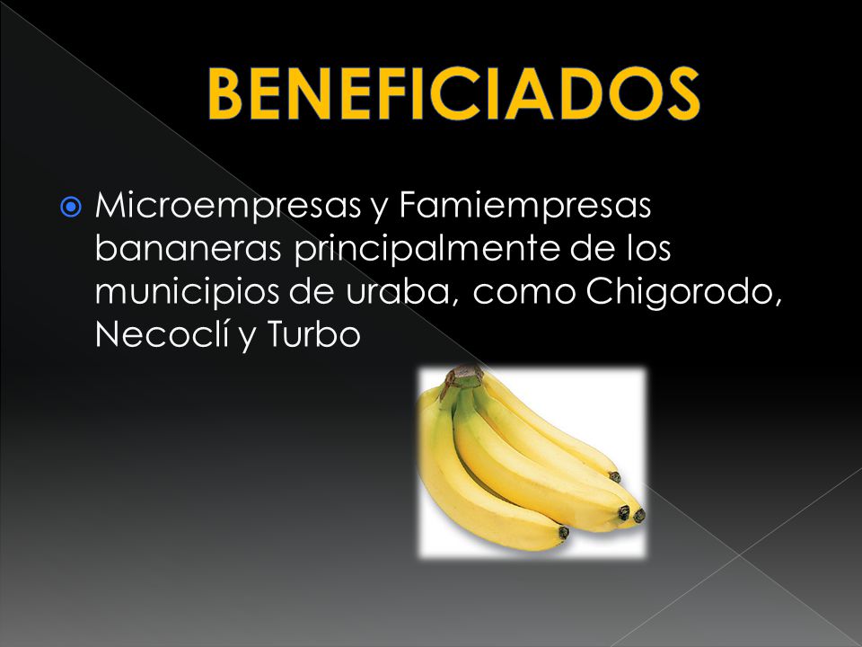 BENEFICIADOS Microempresas y Famiempresas bananeras principalmente de los municipios de uraba, como Chigorodo, Necoclí y Turbo.