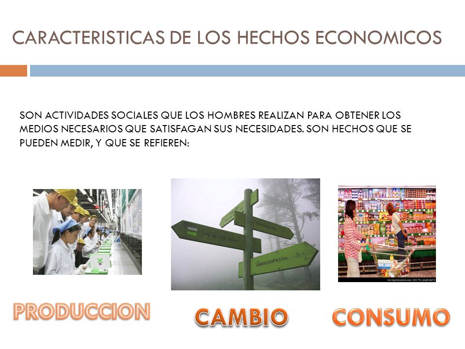 CARACTERISTICAS DE LOS HECHOS ECONOMICOS