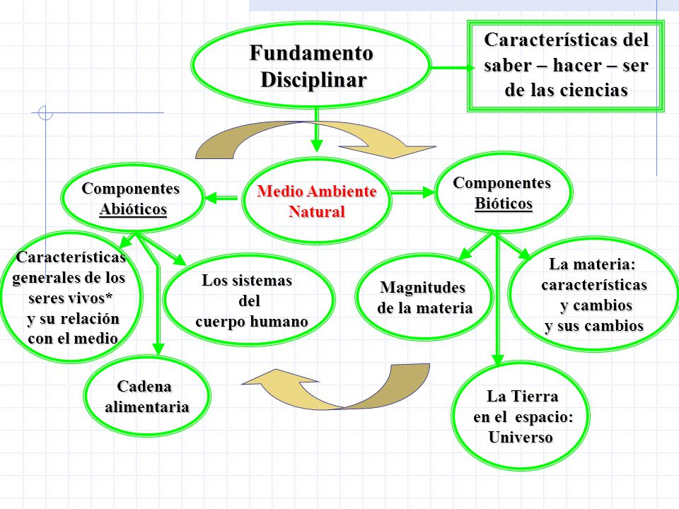 Características del saber – hacer – ser de las ciencias
