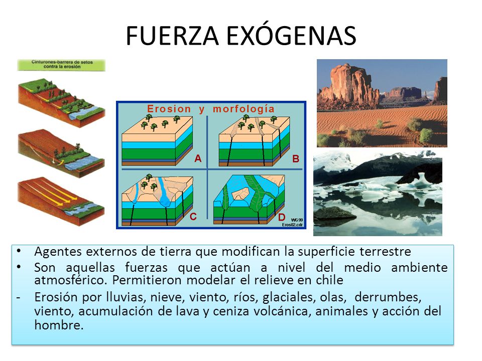 FUERZA EXÓGENAS Agentes externos de tierra que modifican la superficie terrestre.