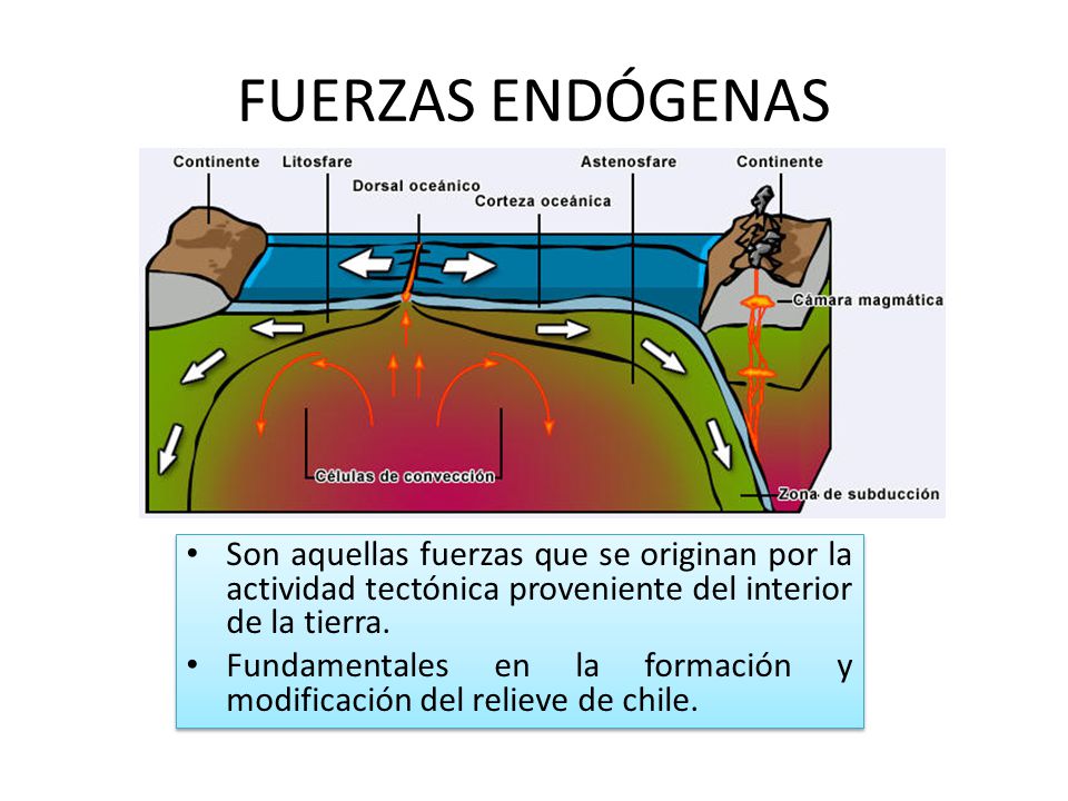 FUERZAS ENDÓGENAS Son aquellas fuerzas que se originan por la actividad tectónica proveniente del interior de la tierra.