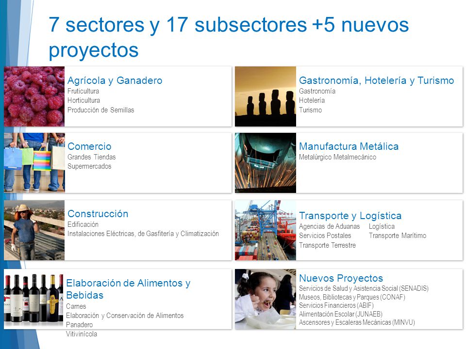 7 sectores y 17 subsectores +5 nuevos proyectos