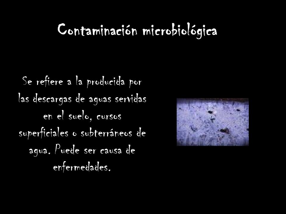 Contaminación microbiológica