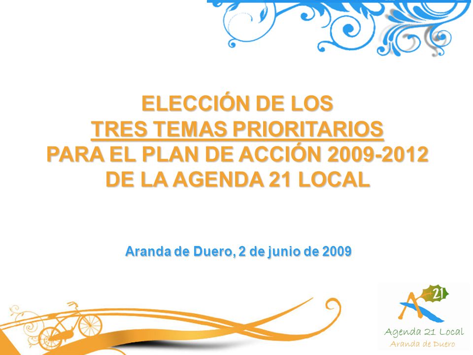 TRES TEMAS PRIORITARIOS Aranda de Duero, 2 de junio de 2009