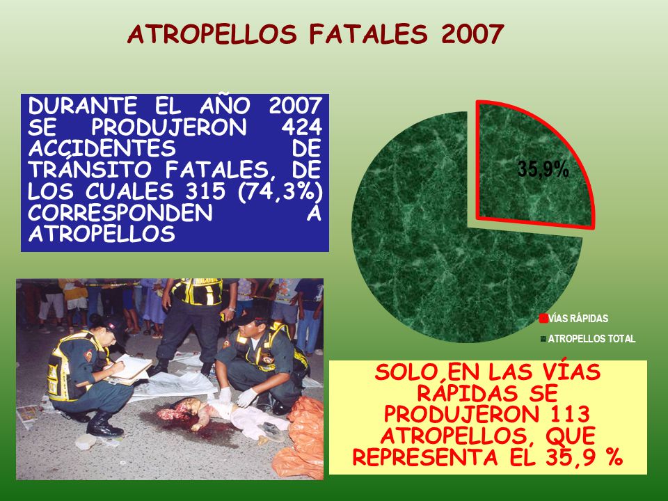 ATROPELLOS FATALES 2007 DURANTE EL AÑO 2007 SE PRODUJERON 424 ACCIDENTES DE TRÁNSITO FATALES, DE LOS CUALES 315 (74,3%) CORRESPONDEN A ATROPELLOS.