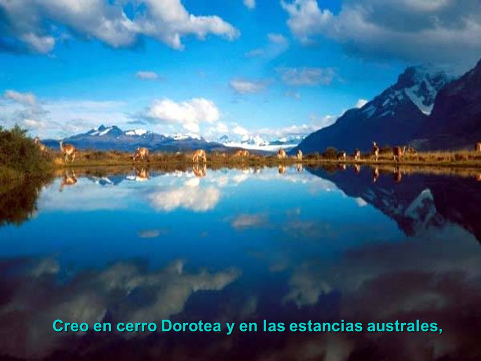 Creo en cerro Dorotea y en las estancias australes,