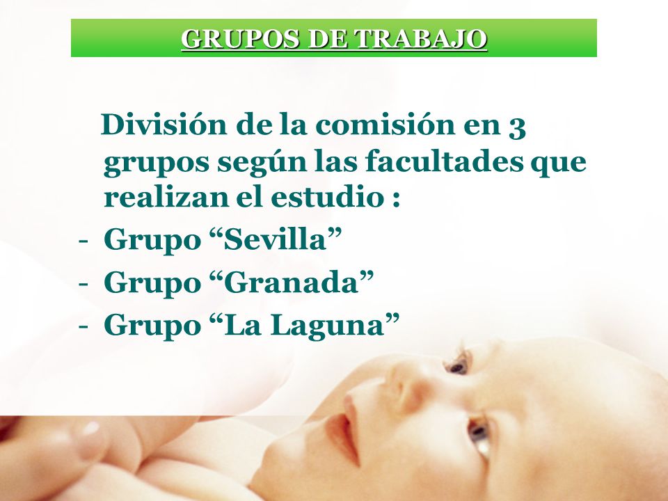 GRUPOS DE TRABAJO División de la comisión en 3 grupos según las facultades que realizan el estudio :