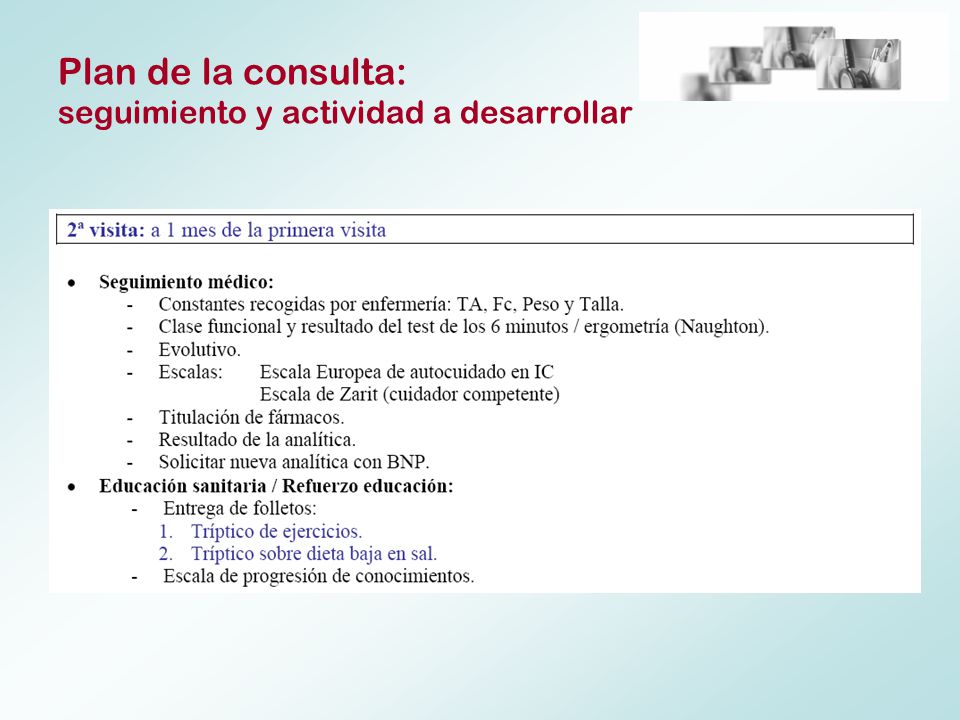 Plan de la consulta: seguimiento y actividad a desarrollar