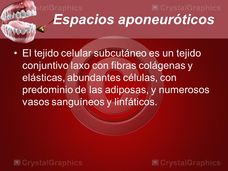Espacios aponeuróticos