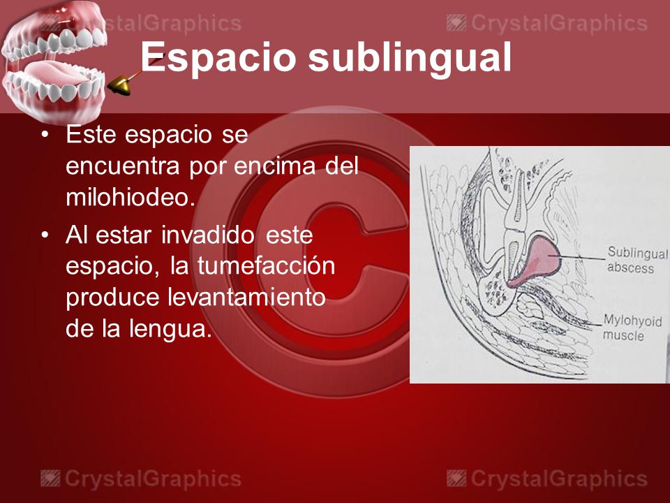 Espacio sublingual Este espacio se encuentra por encima del milohiodeo.