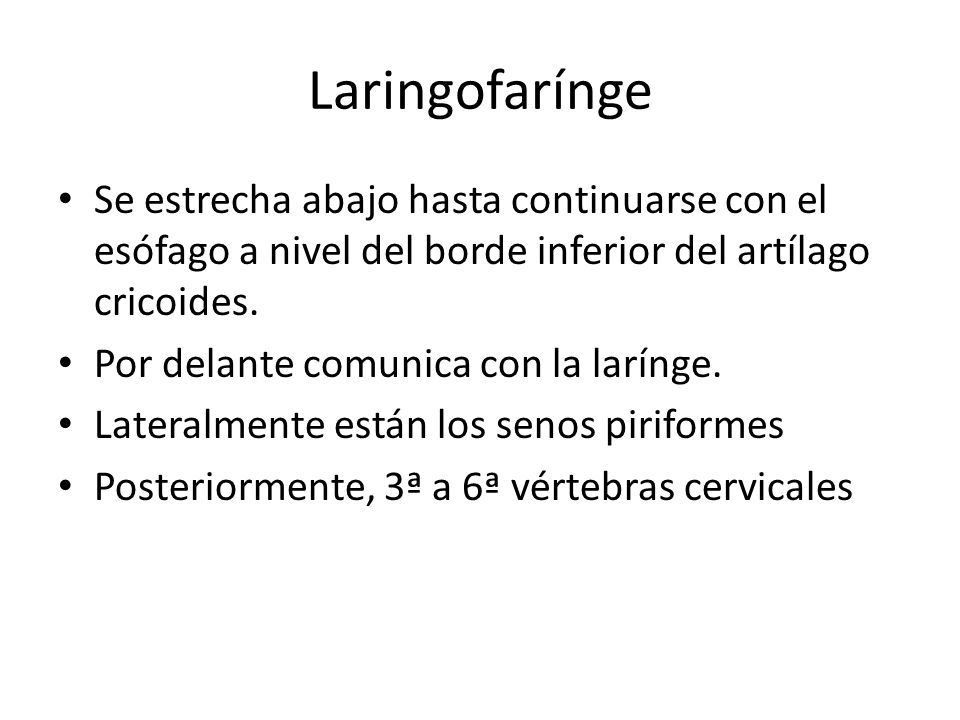 Laringofarínge Se estrecha abajo hasta continuarse con el esófago a nivel del borde inferior del artílago cricoides.