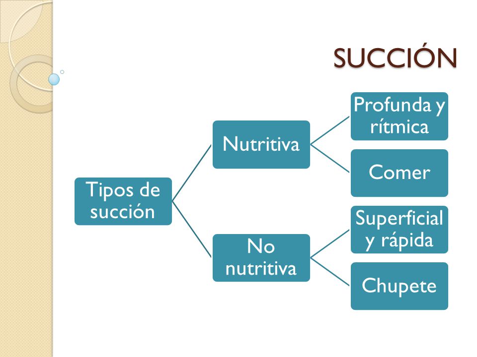 SUCCIÓN Tipos de succión Nutritiva Profunda y rítmica Comer