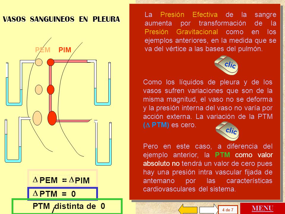 D PEM = PIM D PTM = 0 P TM distinta de 0 VASOS SANGUINEOS EN PLEURA