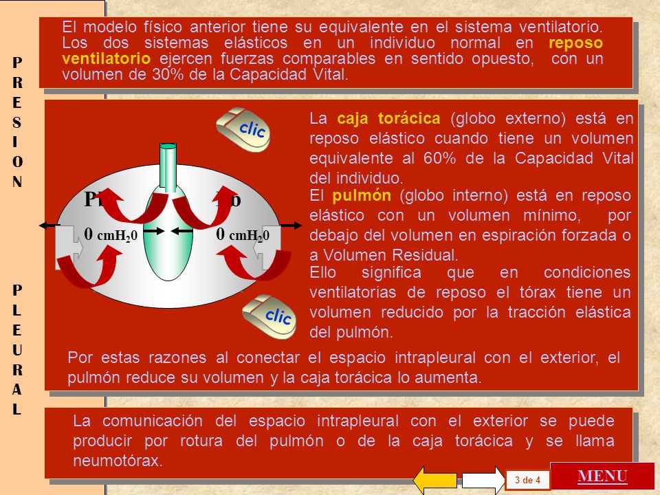 El modelo físico anterior tiene su equivalente en el sistema ventilatorio. Los dos sistemas elásticos en un individuo normal en reposo ventilatorio ejercen fuerzas comparables en sentido opuesto, con un volumen de 30% de la Capacidad Vital.