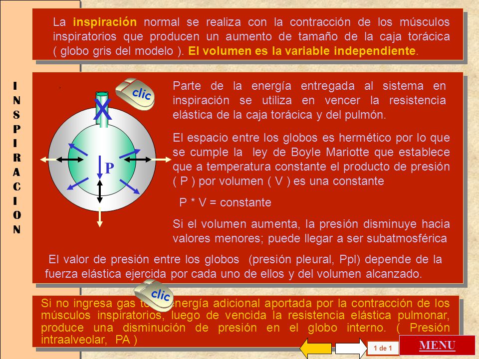La inspiración normal se realiza con la contracción de los músculos inspiratorios que producen un aumento de tamaño de la caja torácica ( globo gris del modelo ). El volumen es la variable independiente.
